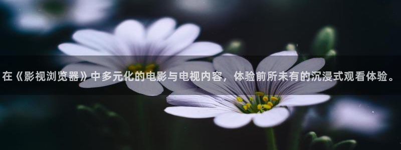 飘雪影院在线观看高清完整版：在《影视浏览器》中多元化的电影与电视内容，体验前所未有的沉浸式观看体验。