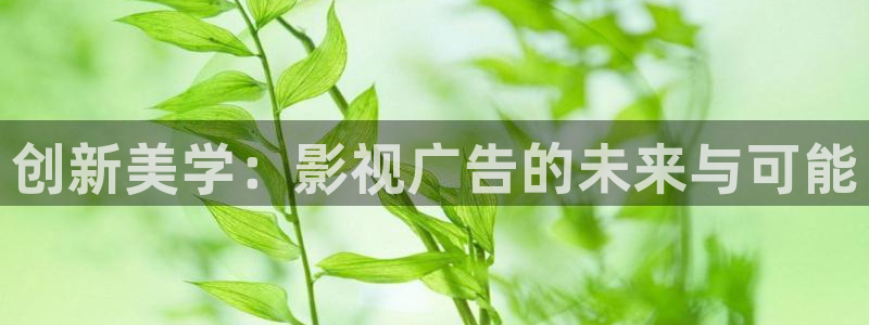 飘雪影院免费观看电视剧电影网：创新美学：影视广告的未来与可能