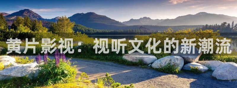 星辰策驰飘雪影院：黄片影视：视听文化的新潮流