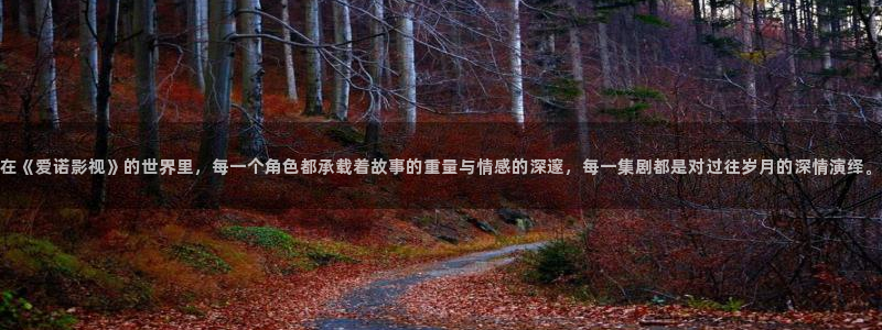 飘雪影院午夜：在《爱诺影视》的世界里，每一个角色都承载着故事的重量与情感的深邃，每一集剧都是对过往岁月的深情演绎。