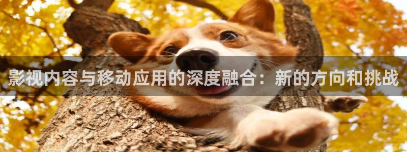 飘雪影院电视剧在线播放：影视内容与移动应用的深度融合：新的方向和挑战
