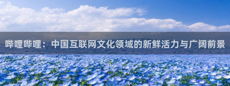 飘雪影院手机电影在线观看：哔哩哔哩：中国互联网文化领域的新鲜活力与广阔前景