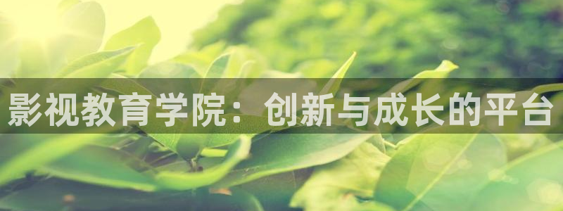 飘雪影院免费观看大全视频：影视教育学院：创新与成长的平台