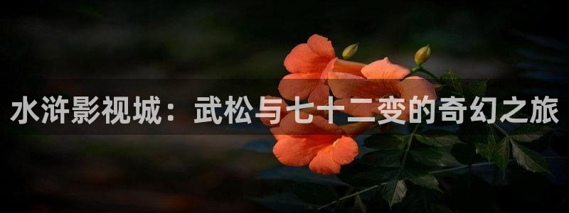 飘雪影院观看免费完整版高清电影全：水浒影视城：武松与七十二变的奇幻之旅