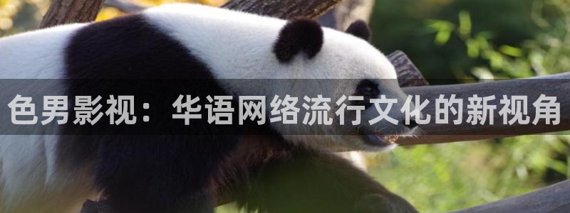 飘雪影院伦理片：色男影视：华语网络流行文化的新视角